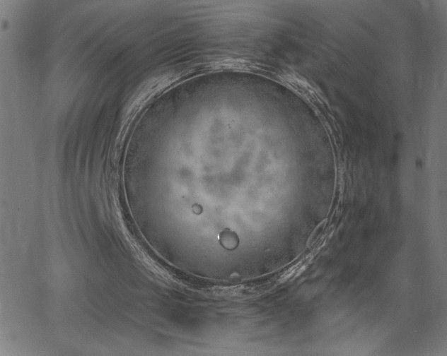 X0000068760049200604281223