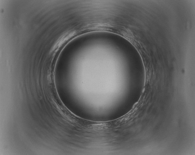 X0000068760050200604281223