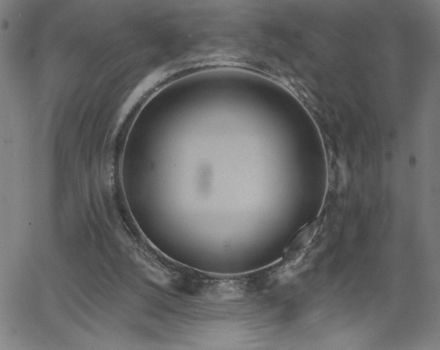 X0000068760056200604281223