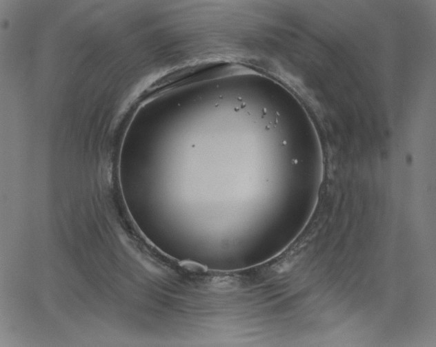 X0000068760060200604281223