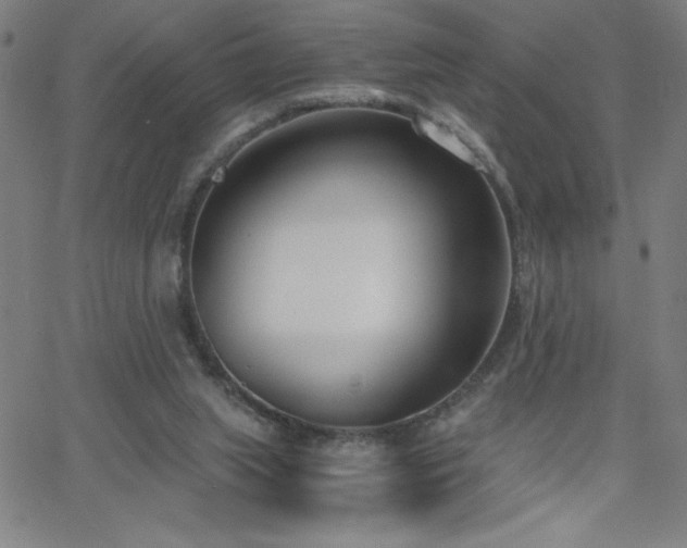 X0000068760063200604281223