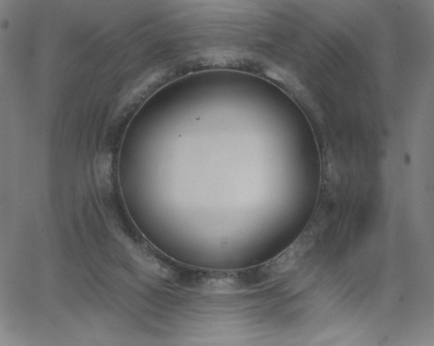 X0000068760066200604281223