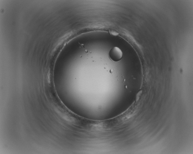 X0000068760068200604281223