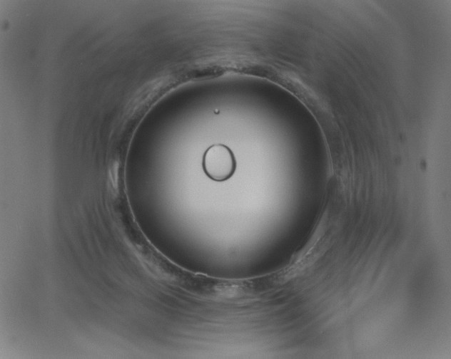 X0000068760070200604281223