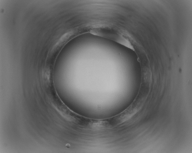 X0000068760072200604281223