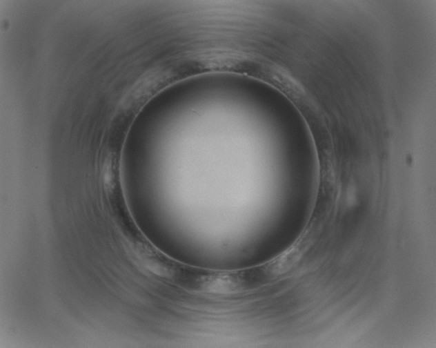 X0000068760074200604281223
