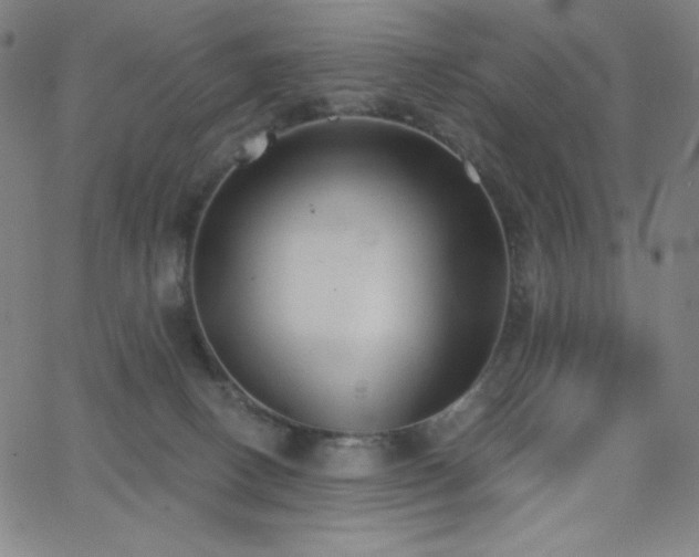 X0000068760082200604281223