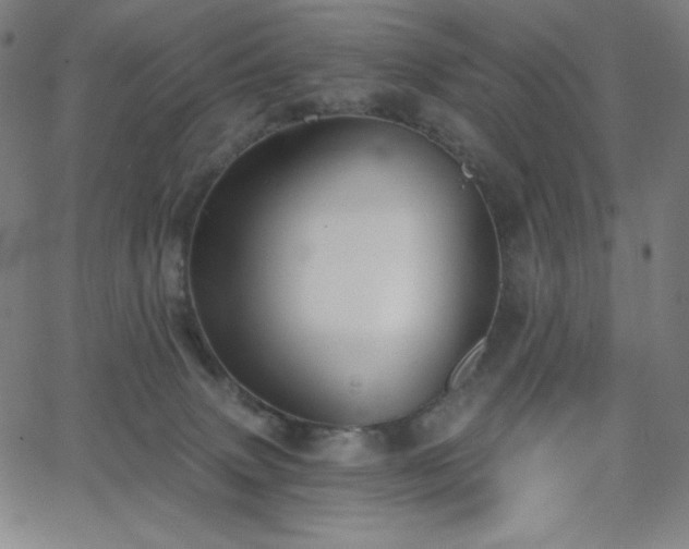 X0000068760083200604281223