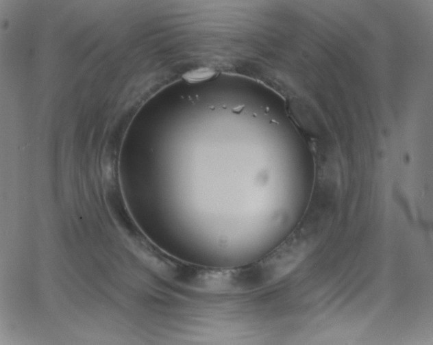 X0000068760084200604281223