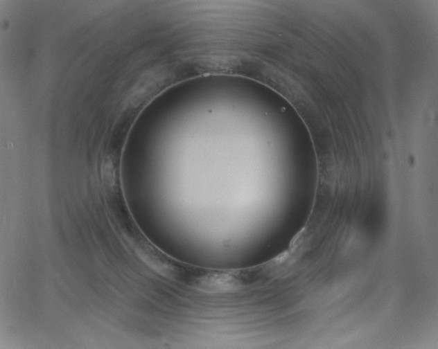 X0000068760086200604281223