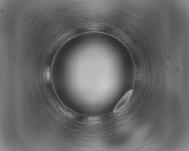 X0000068760095200604281224
