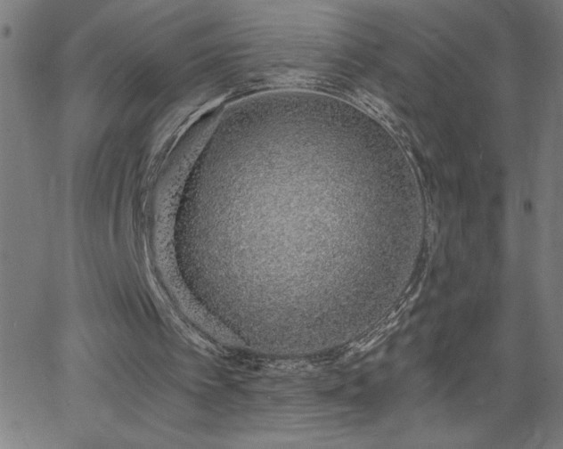 X0000068760097200604281223