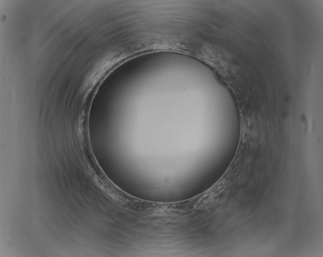 X0000068760098200604281223