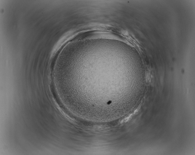 X0000068760101200604281223