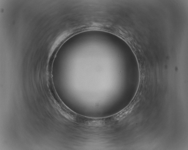 X0000068760102200604281223