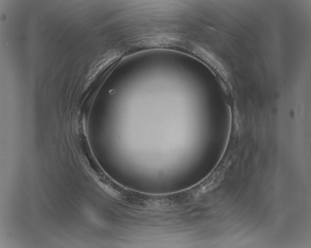 X0000068760105200604281223