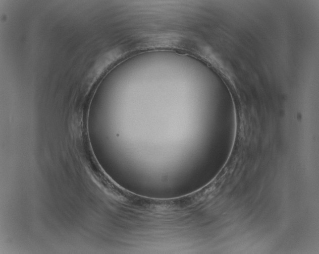 X0000068760107200604281223