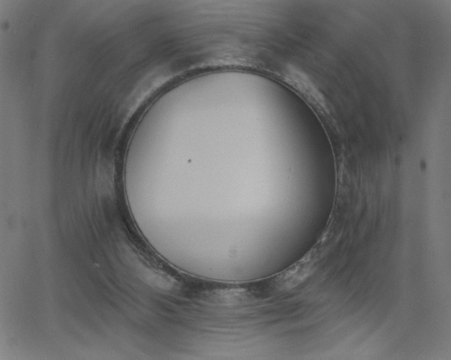 X0000068760108200604281223