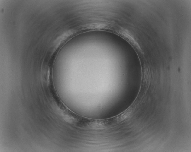 X0000068760110200604281222