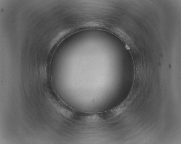 X0000068760112200604281222
