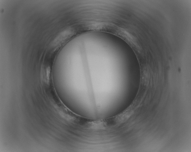 X0000068760118200604281222