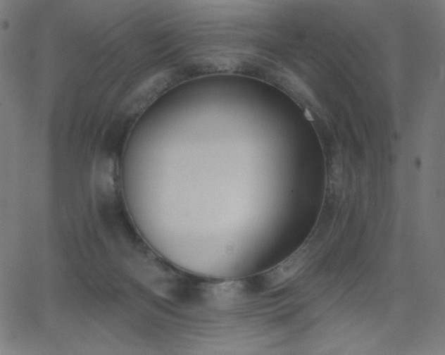 X0000068760122200604281222