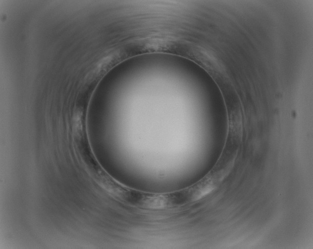 X0000068760127200604281222