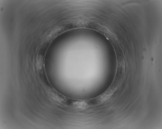 X0000068760133200604281222