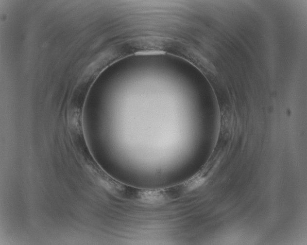 X0000068760141200604281222