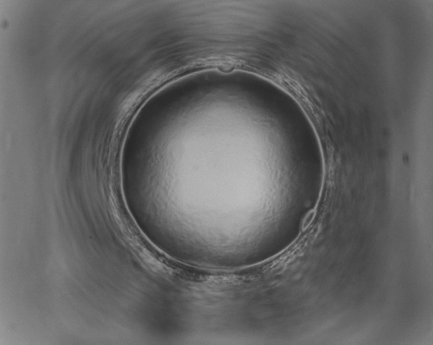 X0000068760145200604281221