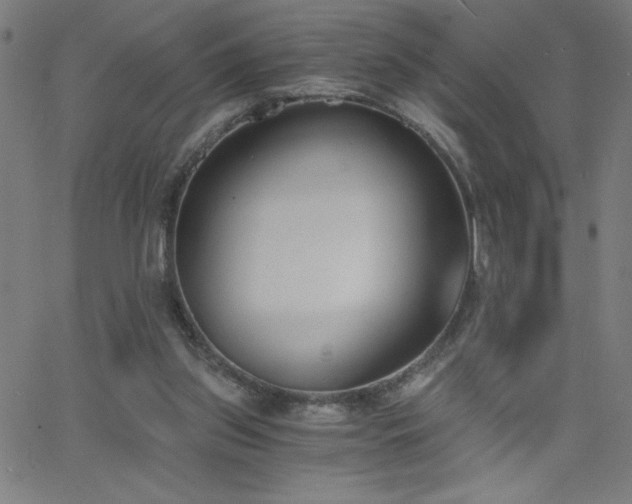 X0000068760157200604281221
