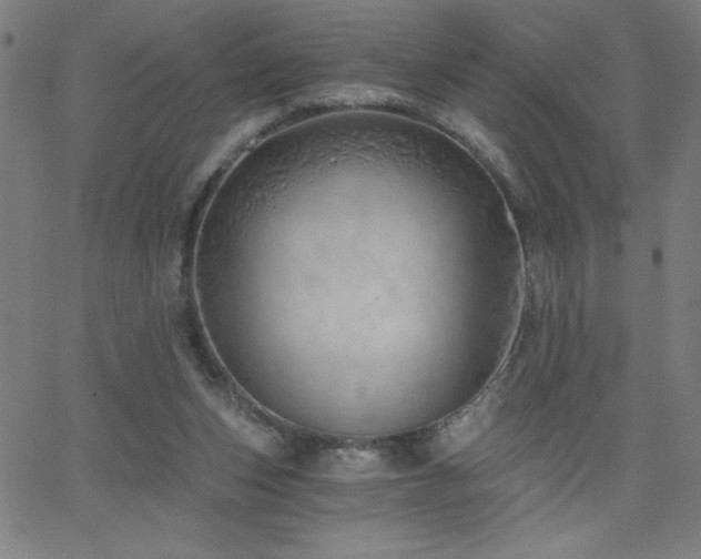 X0000068760159200604281221