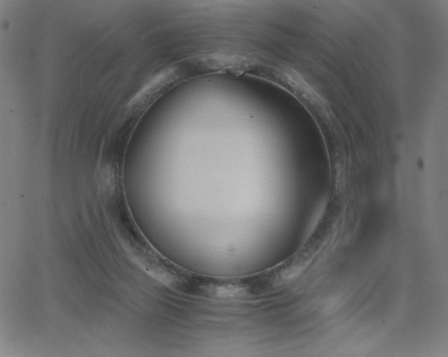 X0000068760165200604281221