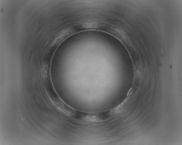 X0000068760171200604281222