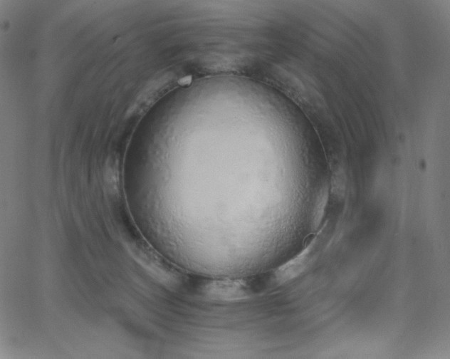 X0000068760179200604281222