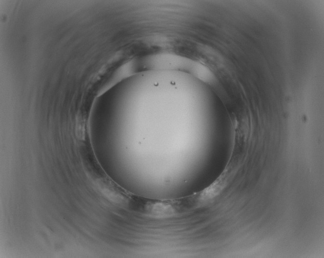X0000068760180200604281222