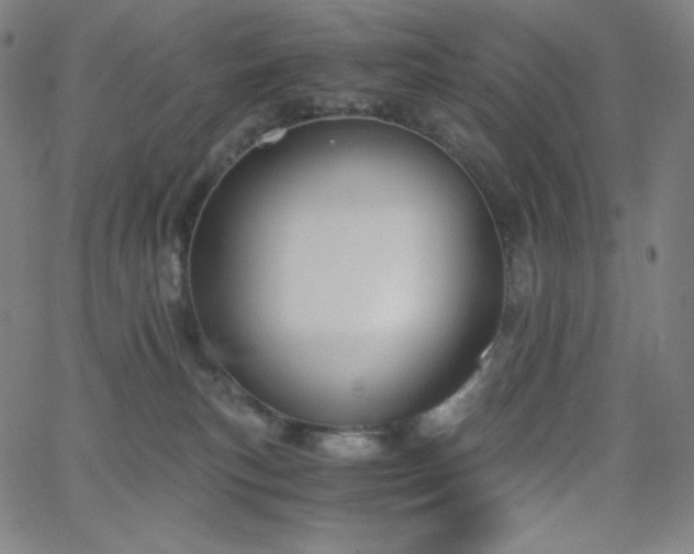 X0000068760183200604281222
