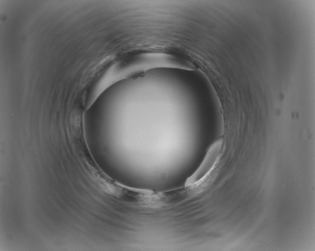 X0000068760192200604281222