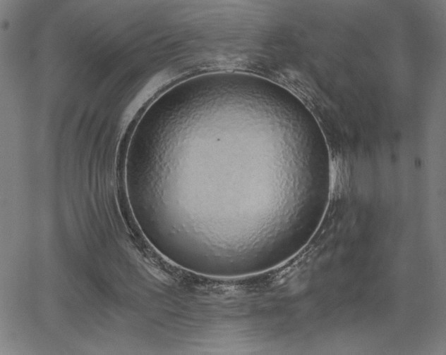 X0000068760195200604281221