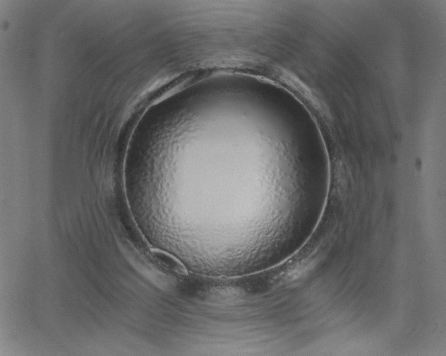 X0000068760203200604281221