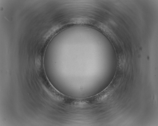 X0000068760208200604281221