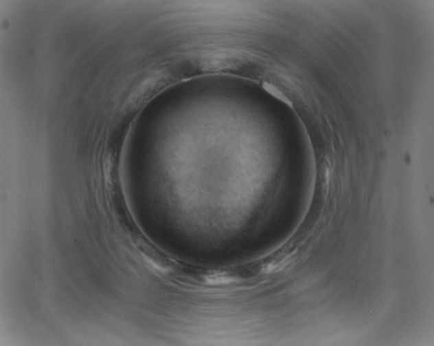 X0000068760219200604281221