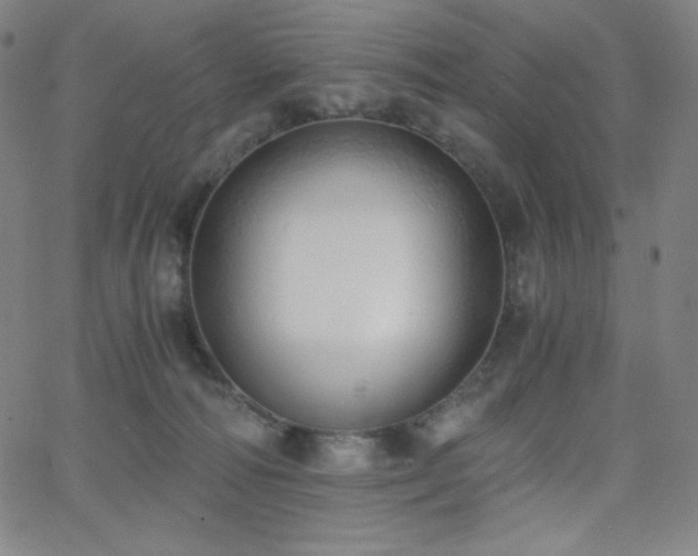 X0000068760226200604281221