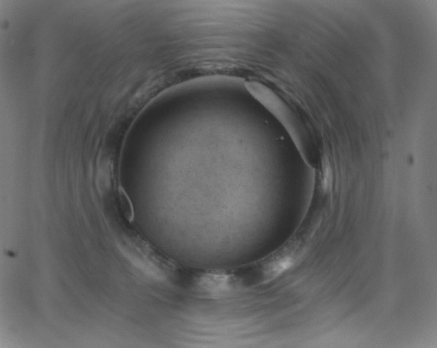 X0000068760227200604281221