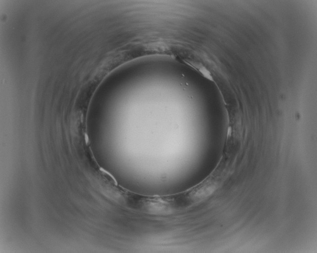 X0000068760229200604281220