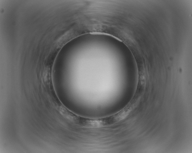X0000068760233200604281220