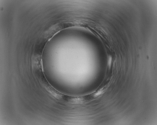 X0000068760237200604281220