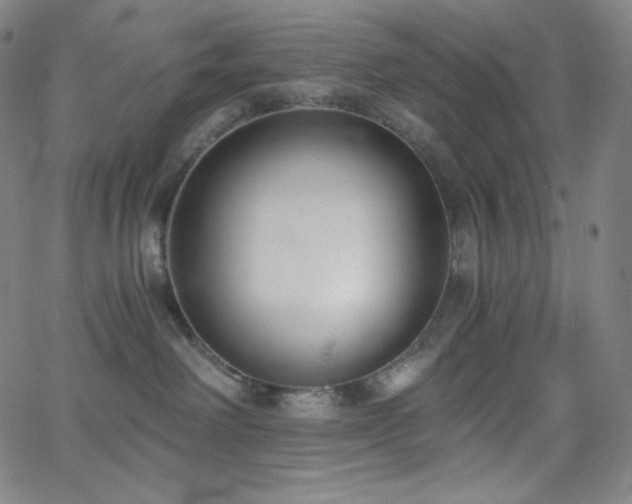 X0000068760238200604281220