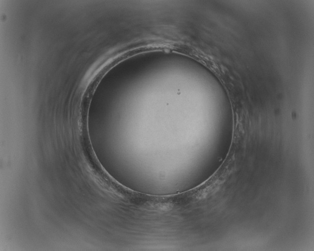X0000068760247200604281220
