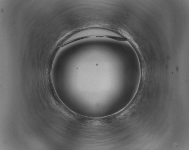 X0000068760249200604281220